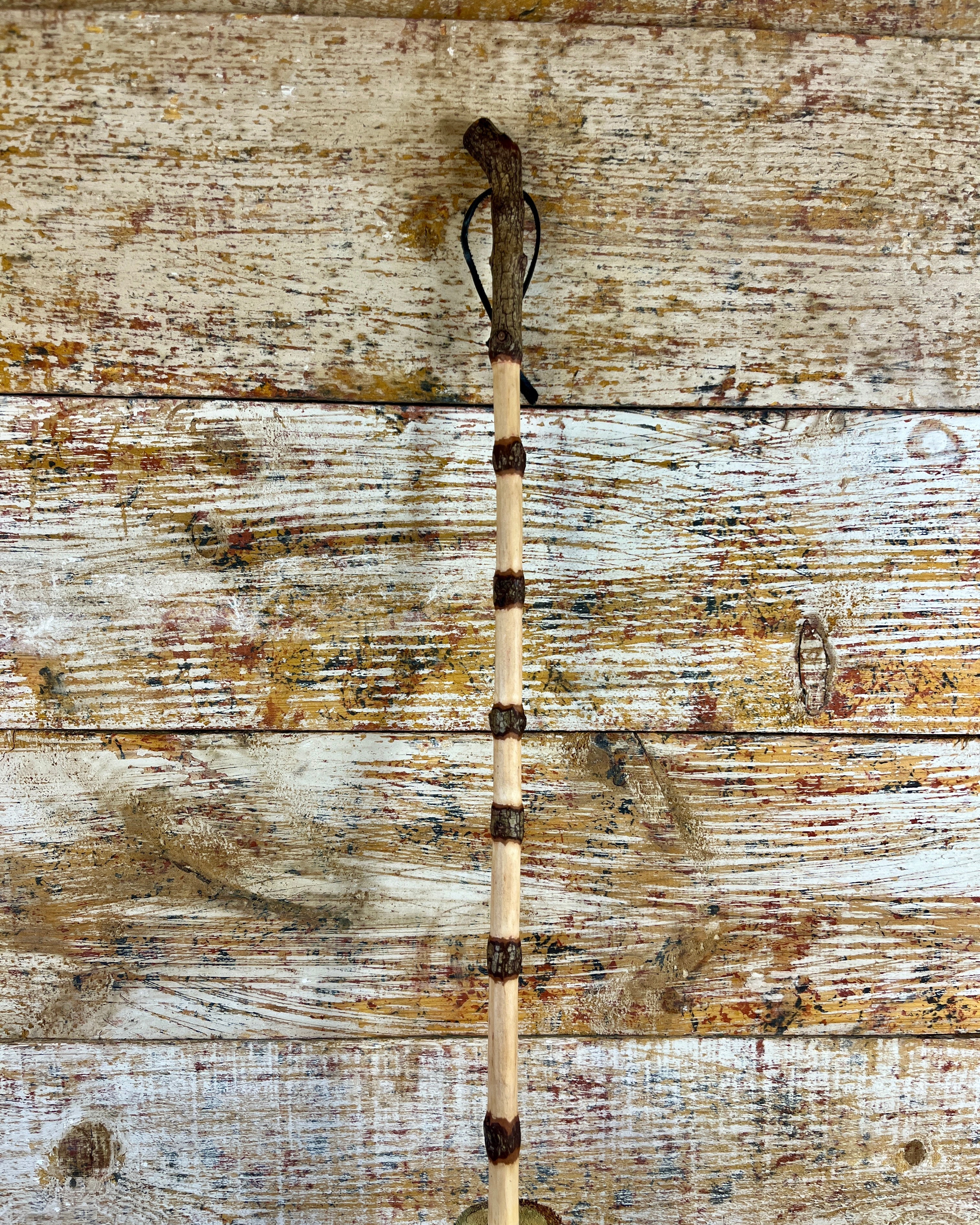 Quiet Sentinel Mid-size Besom