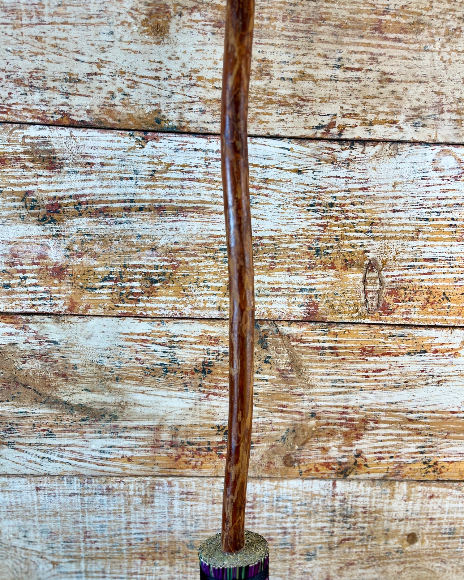 Moss &amp; Moon Vigil