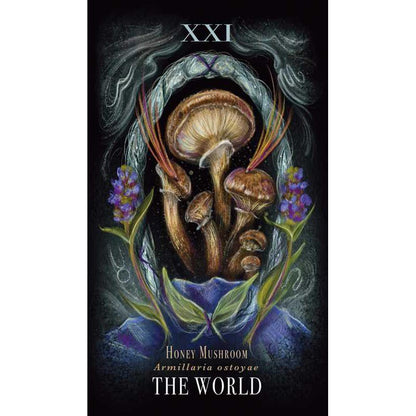 Midnight Magic: A Mushroom Tarot Deck by Sara Richard
