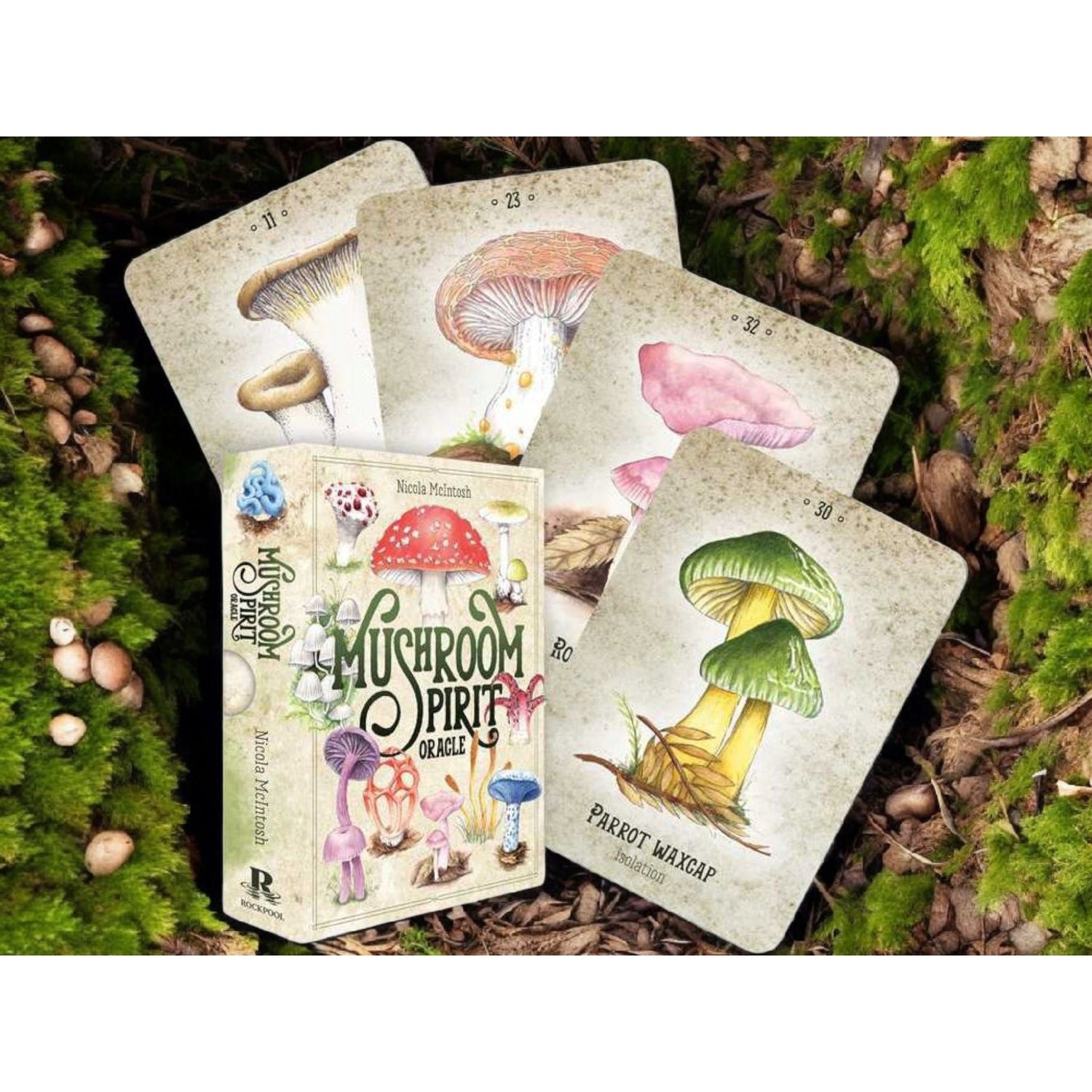 Mushroom Spirit Oracle Deck by Nicola McIntosh – 36 Illustrated Cards &amp; Guidebook