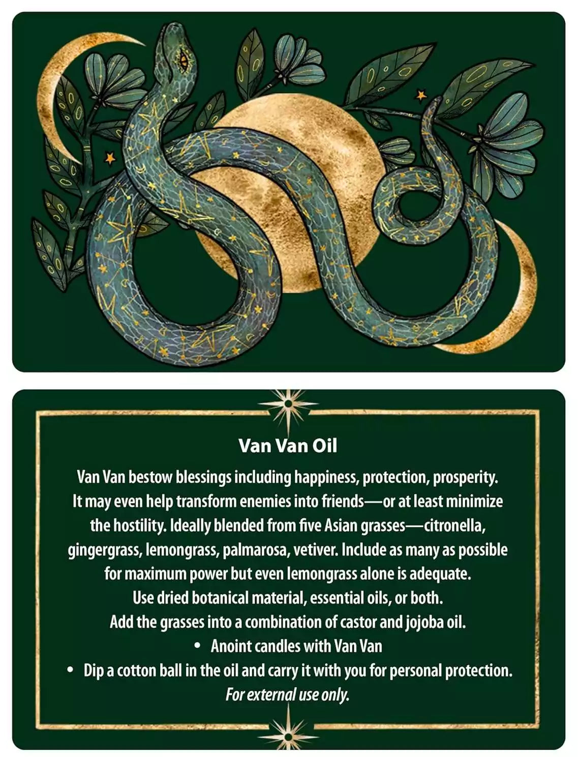 Protection Spells card with snake and leaf motif accompanied by text describing a specific protective working or spell.