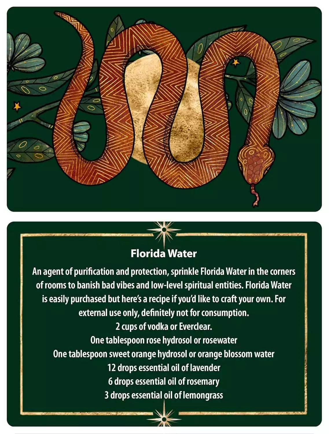 Protection Spells card featuring a snake with foliage and a recipe for creating Florida Water for spiritual cleansing.