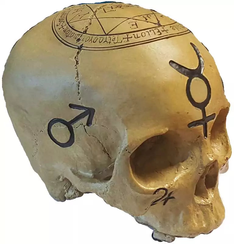 Mystic Skull statue 6.5 inches tall in cold cast resin — human skull covered in engraved alchemical symbols, pentacles, and occult emblems for shadow work and gothic altar display.