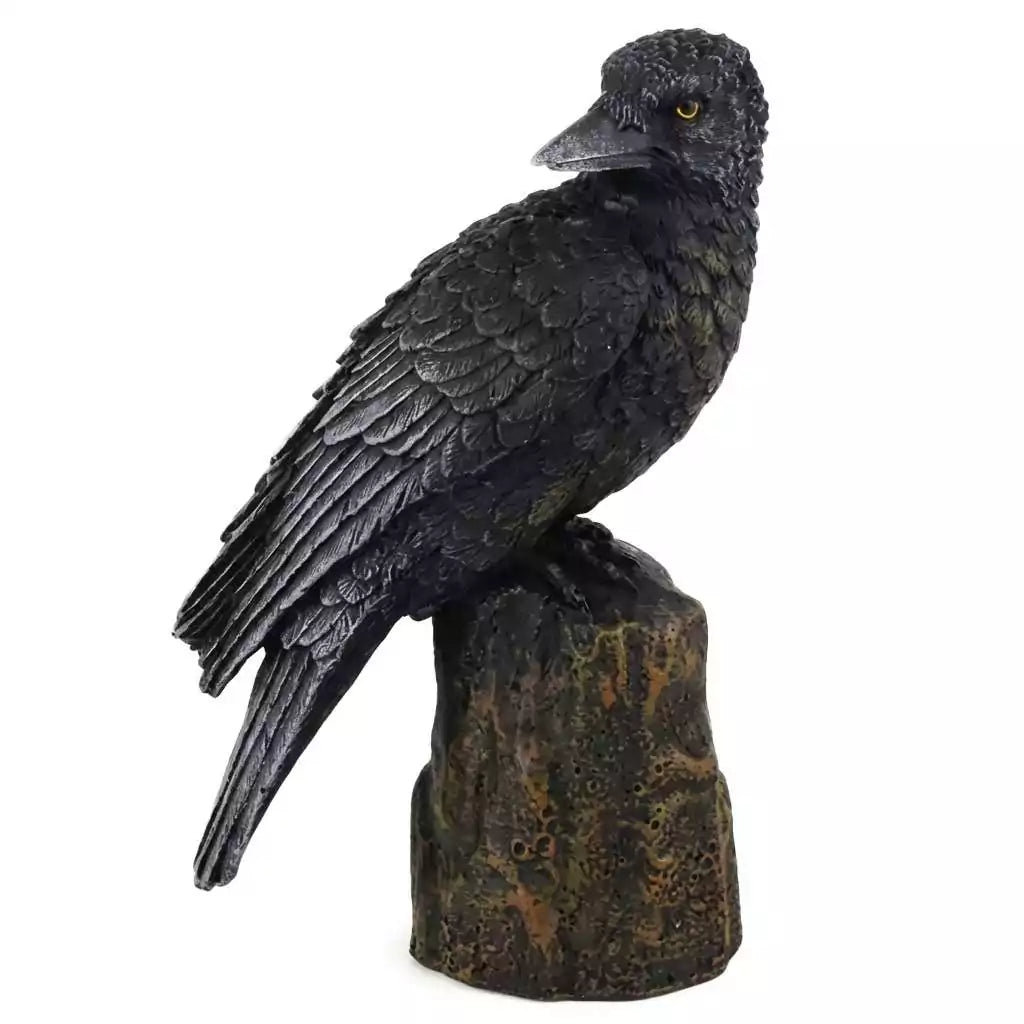 Six inch backward-looking raven statue in resin evoking Norse Huginn Muninn or Morrigan corvid for pagan altar shadow work and prophecy decor