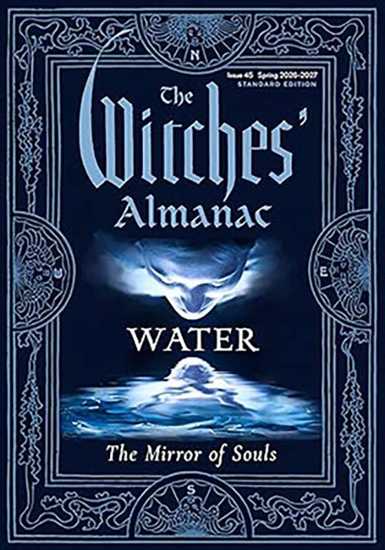 Cover of The Witches&