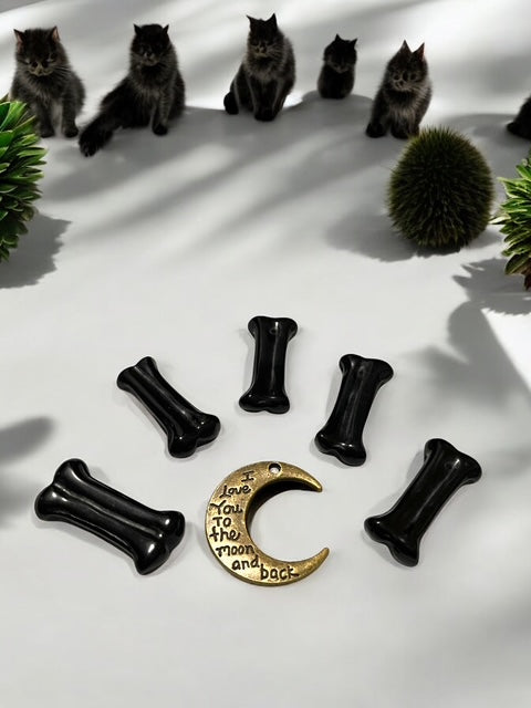 Black Obsidian Bone Crystal Carving