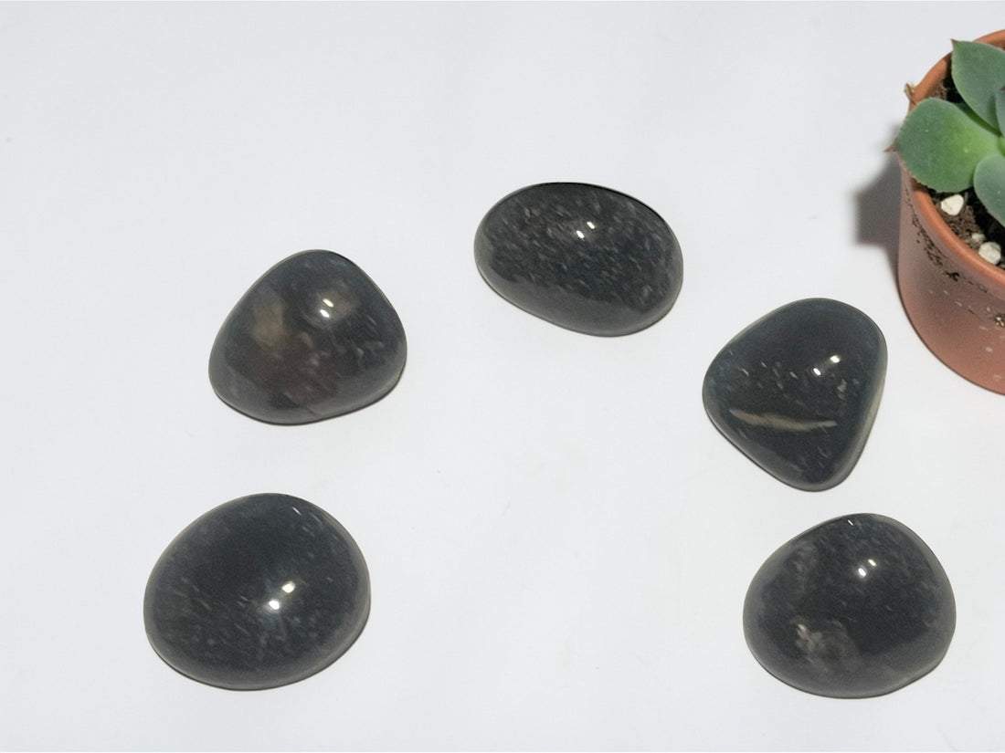 Black Onyx Tumbles