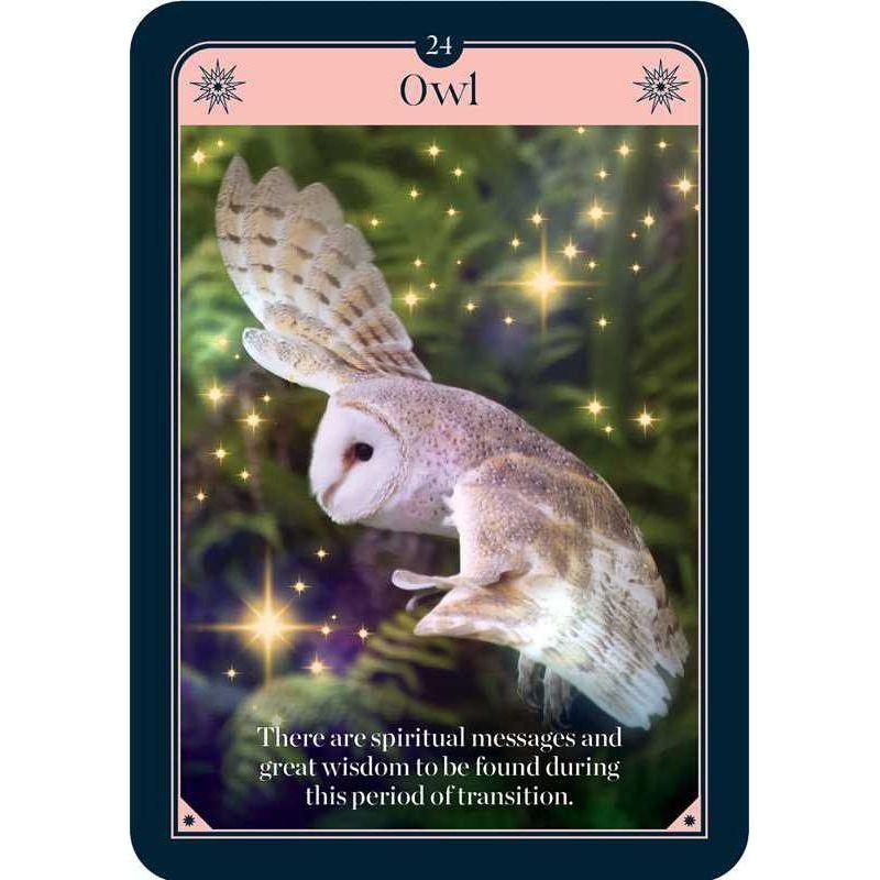 Fortune Oracle Deck by Sharina Star – 36 Cards &amp; Guidebook