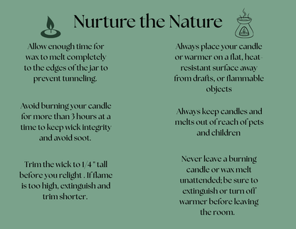 Therapeutic Collection Melts | Organic Beeswax
