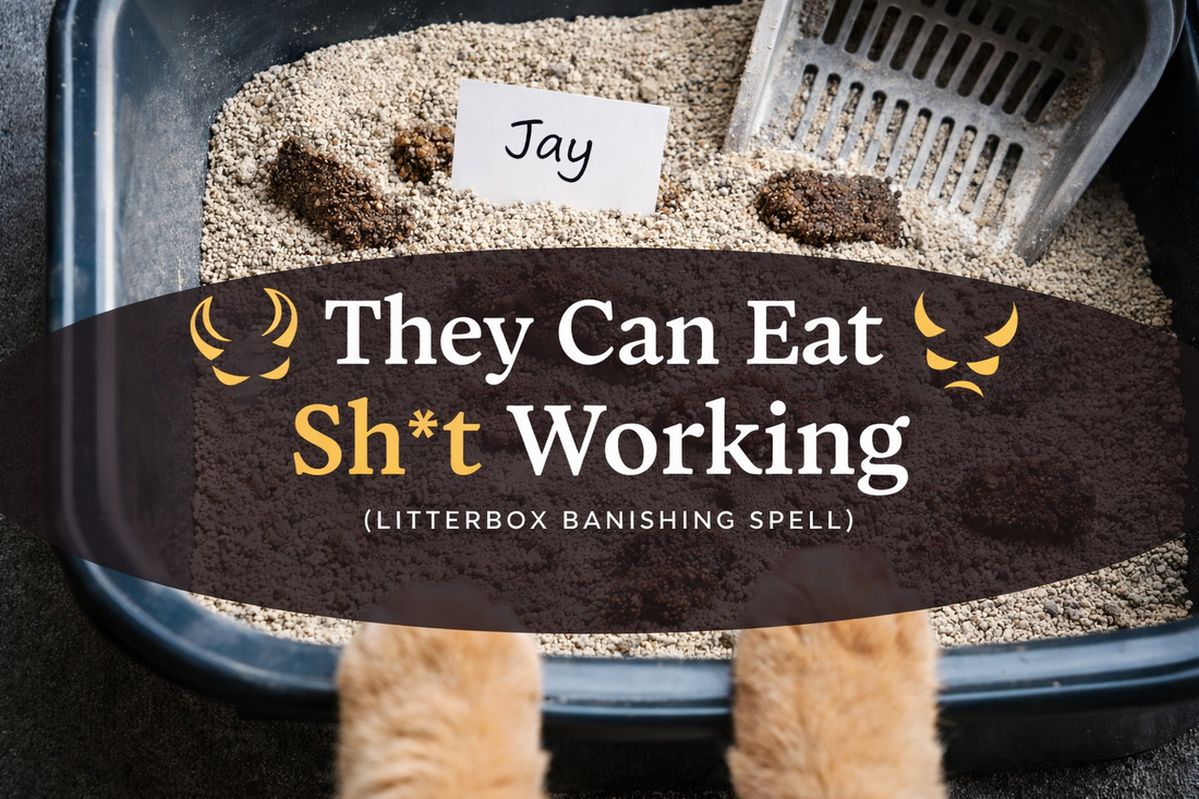 They Can Eat Sh*t Working | The Litterbox Curse