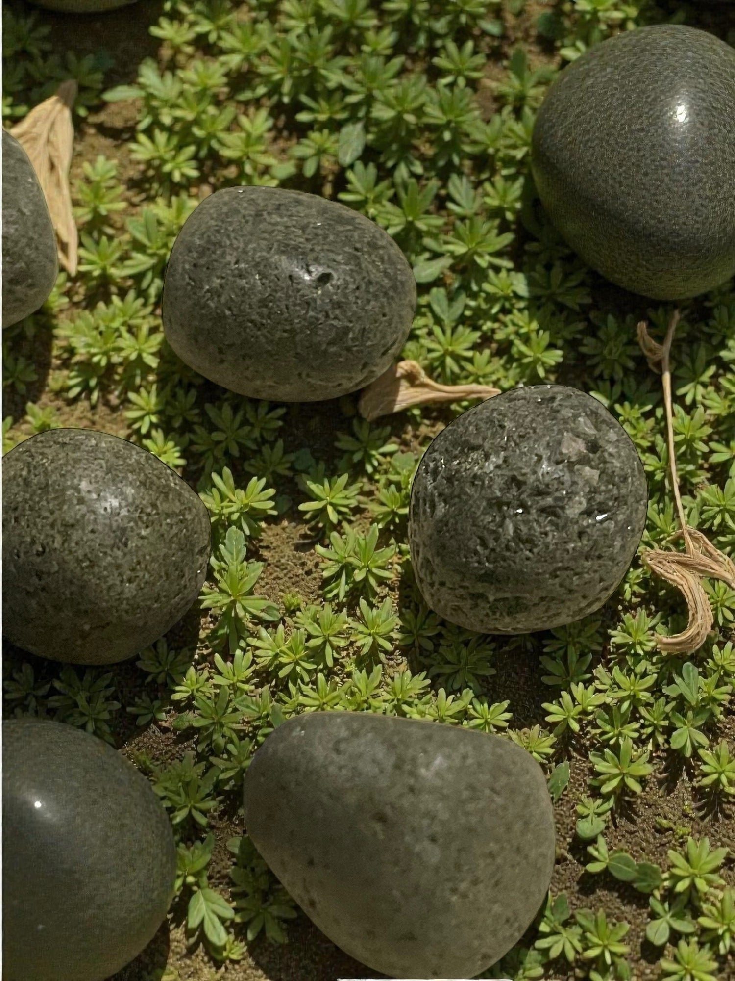 Epidote
