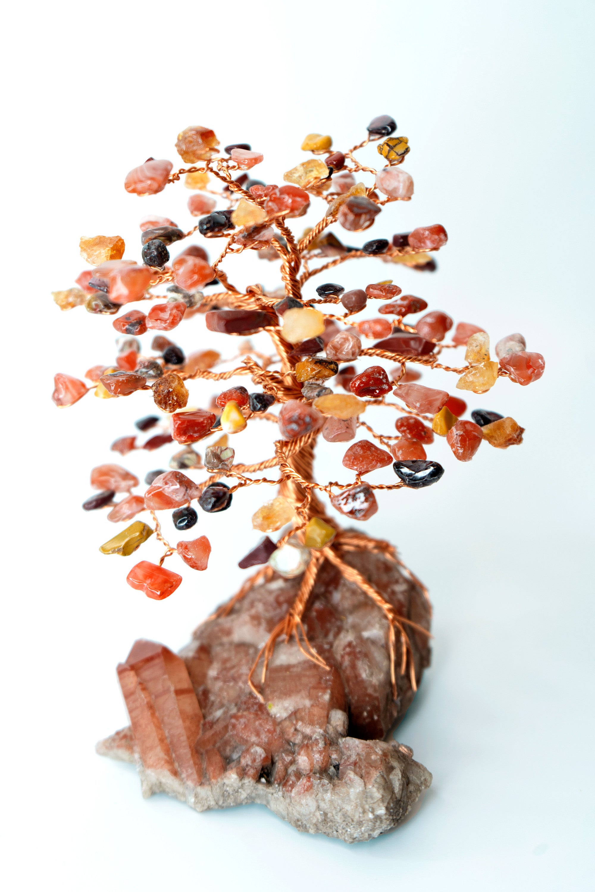 DSC06462 _edited.jpg