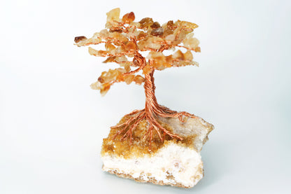 citrine1_edited_edited.jpg
