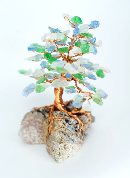 DSC08415_edited.jpg
