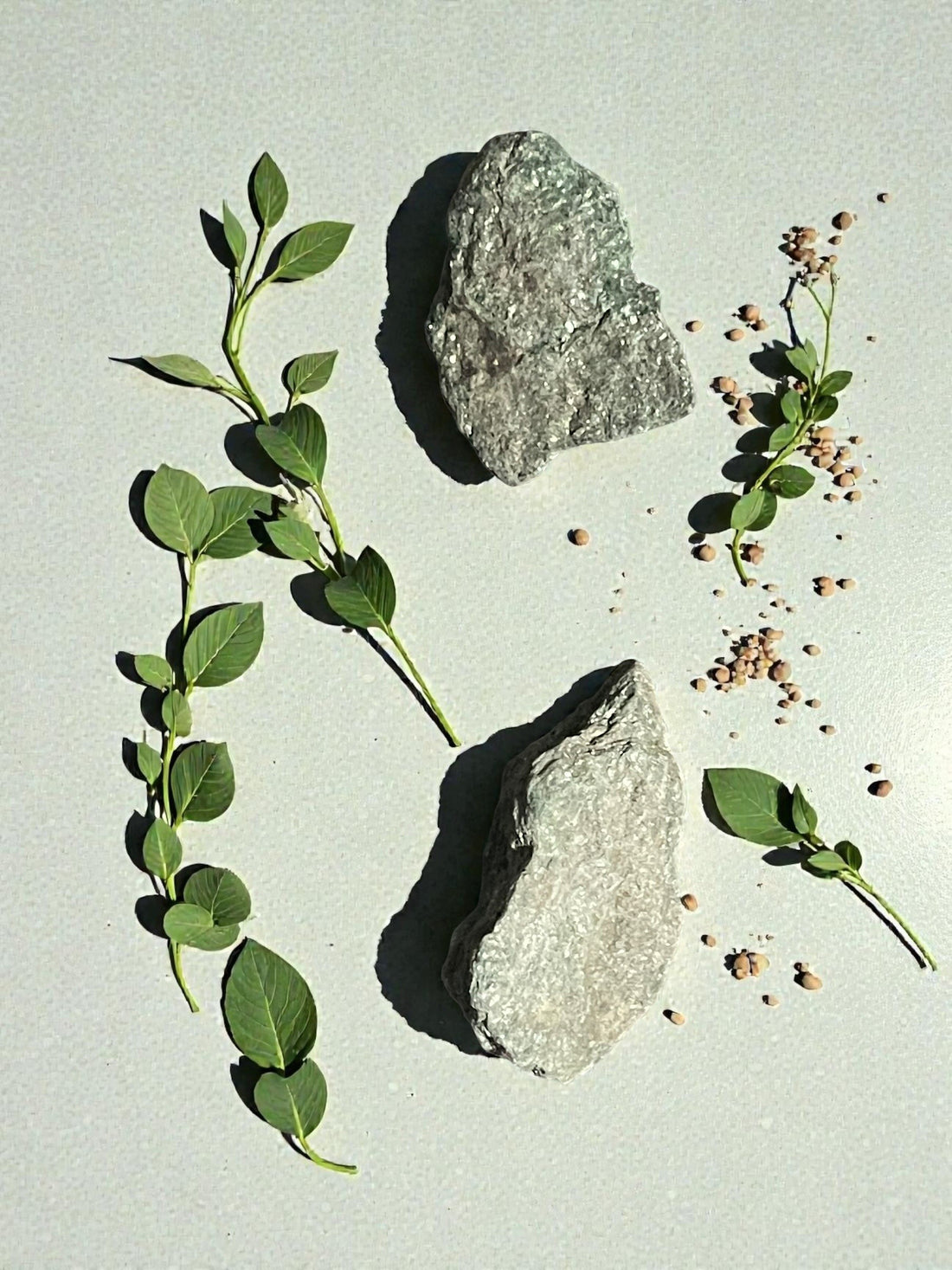 Fuchsite