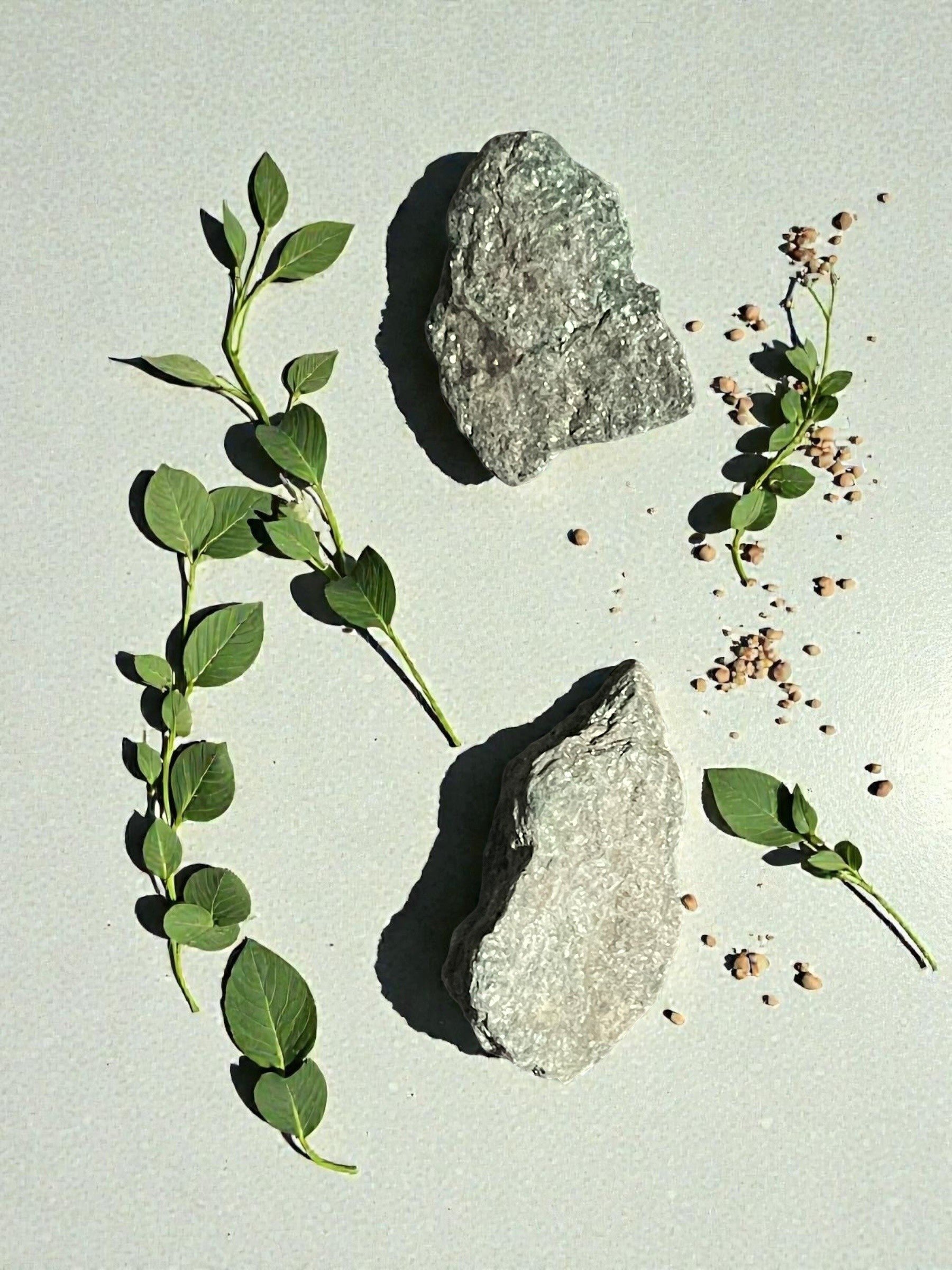 Fuchsite