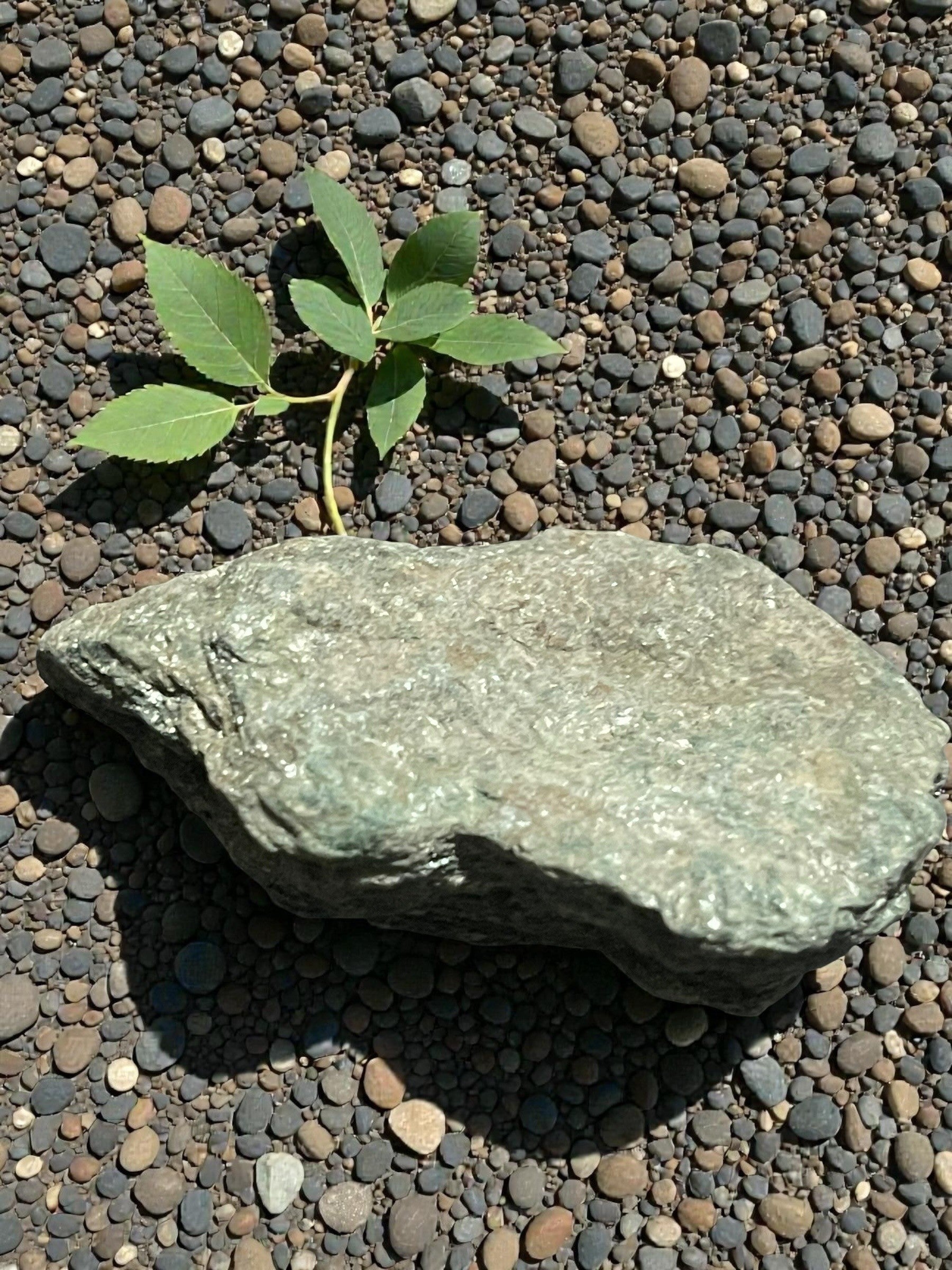 Fuchsite