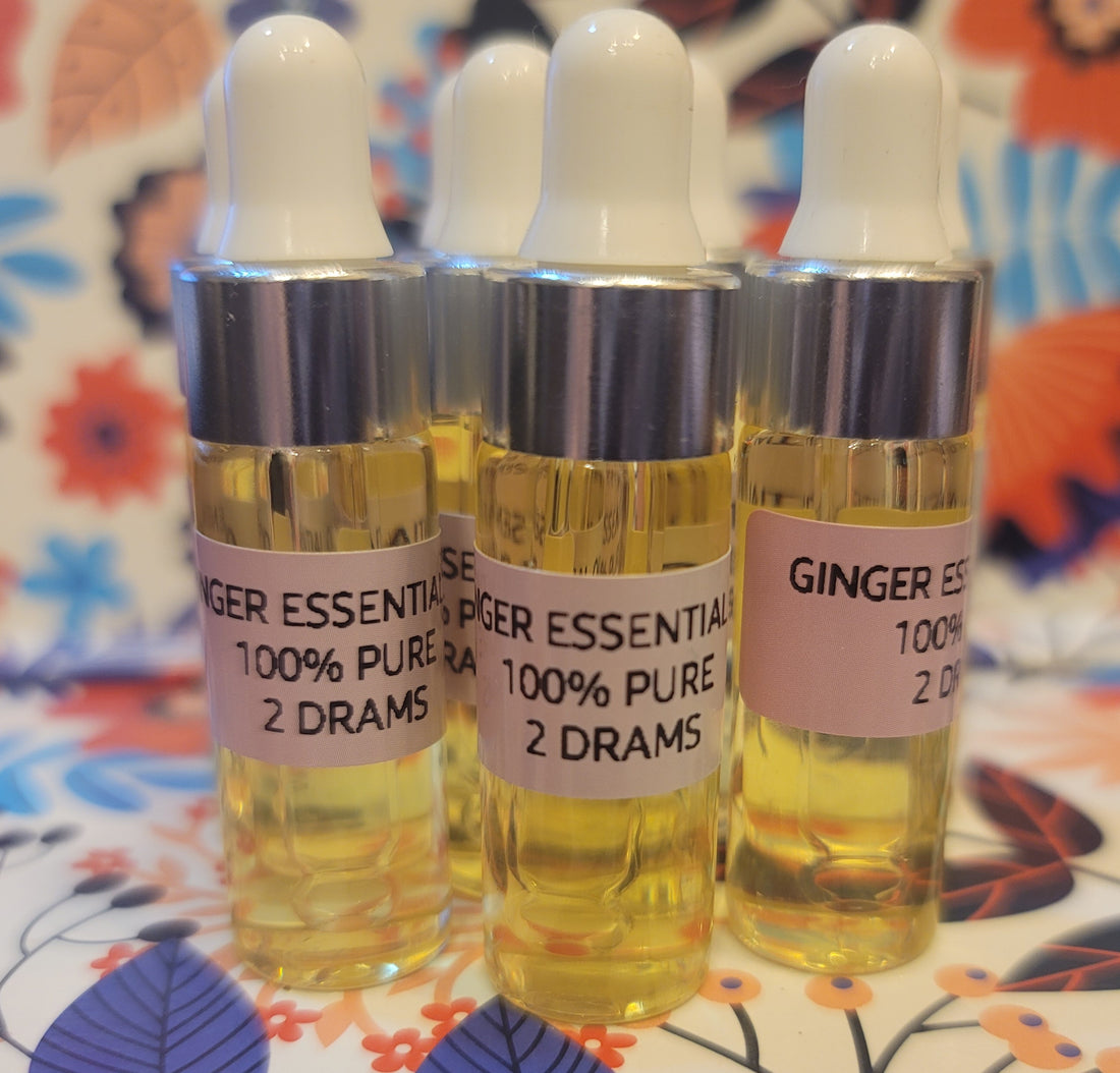 Ginger Essential Oil – 100% Pure 2 dram bottle with dropper