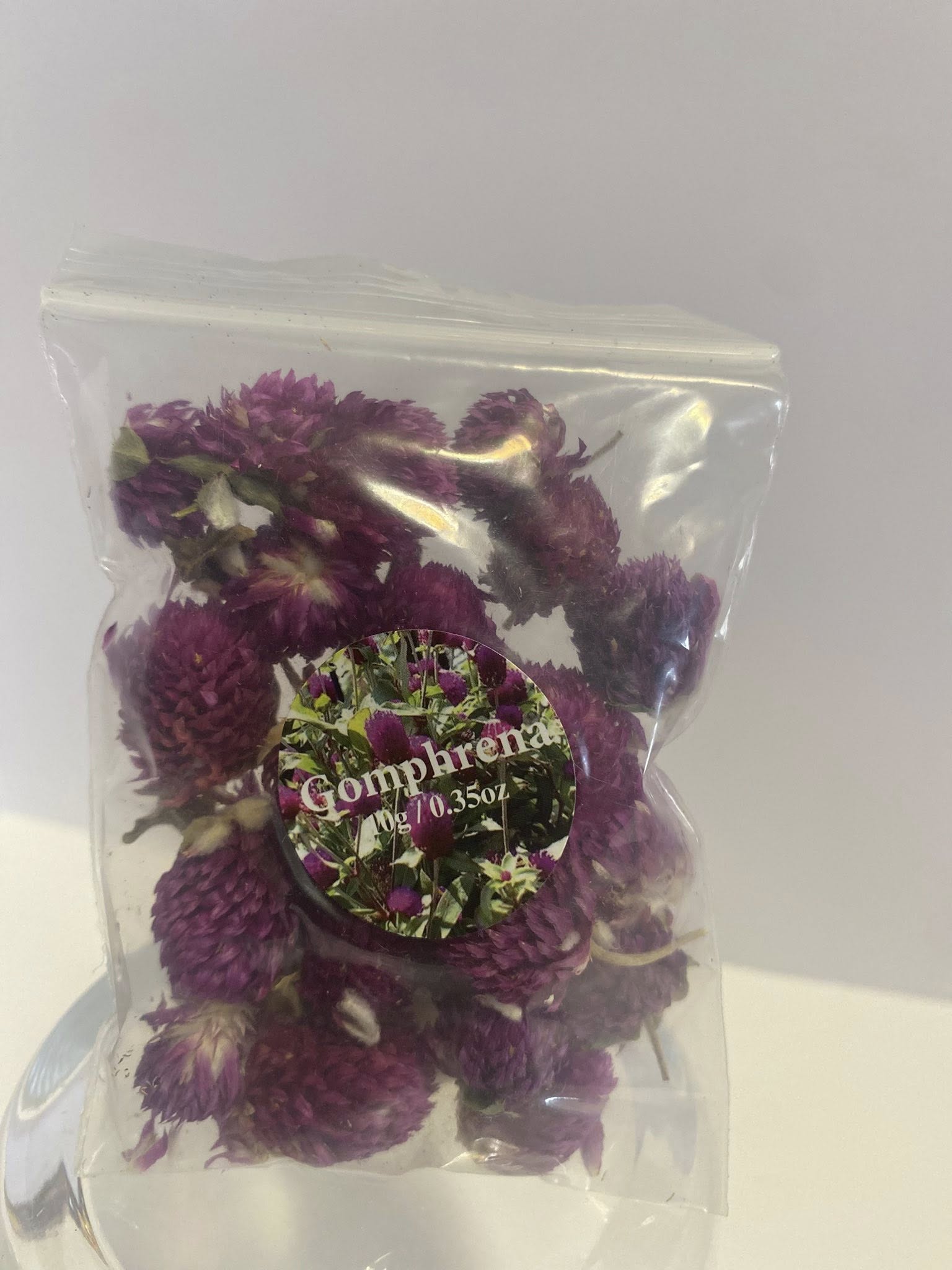 Gomphrena