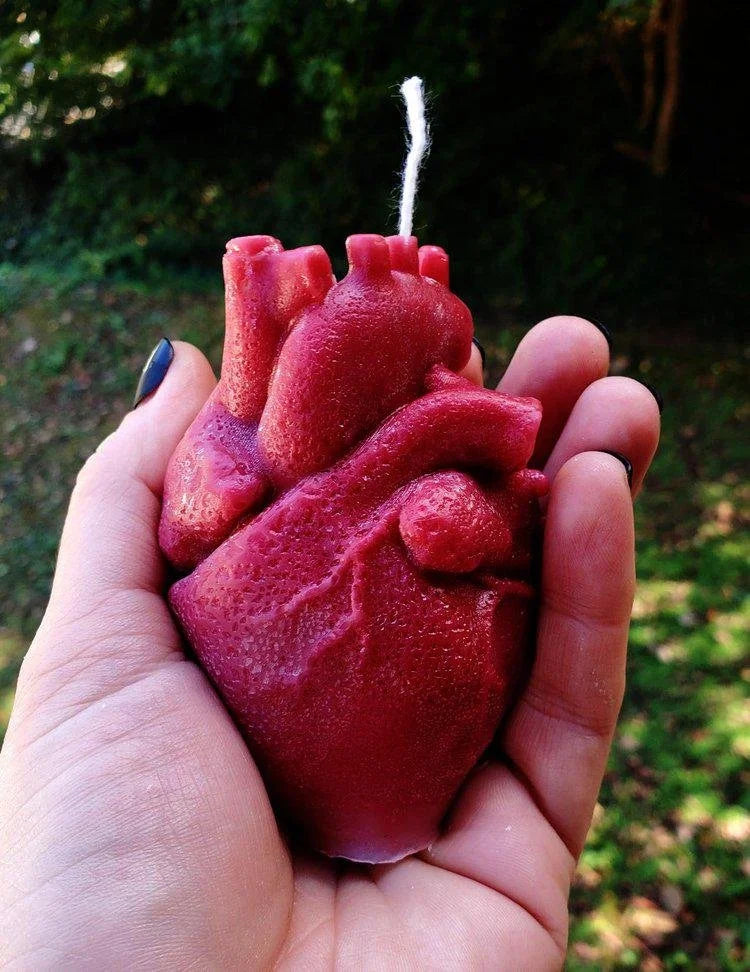 Anatomical Heart Candle