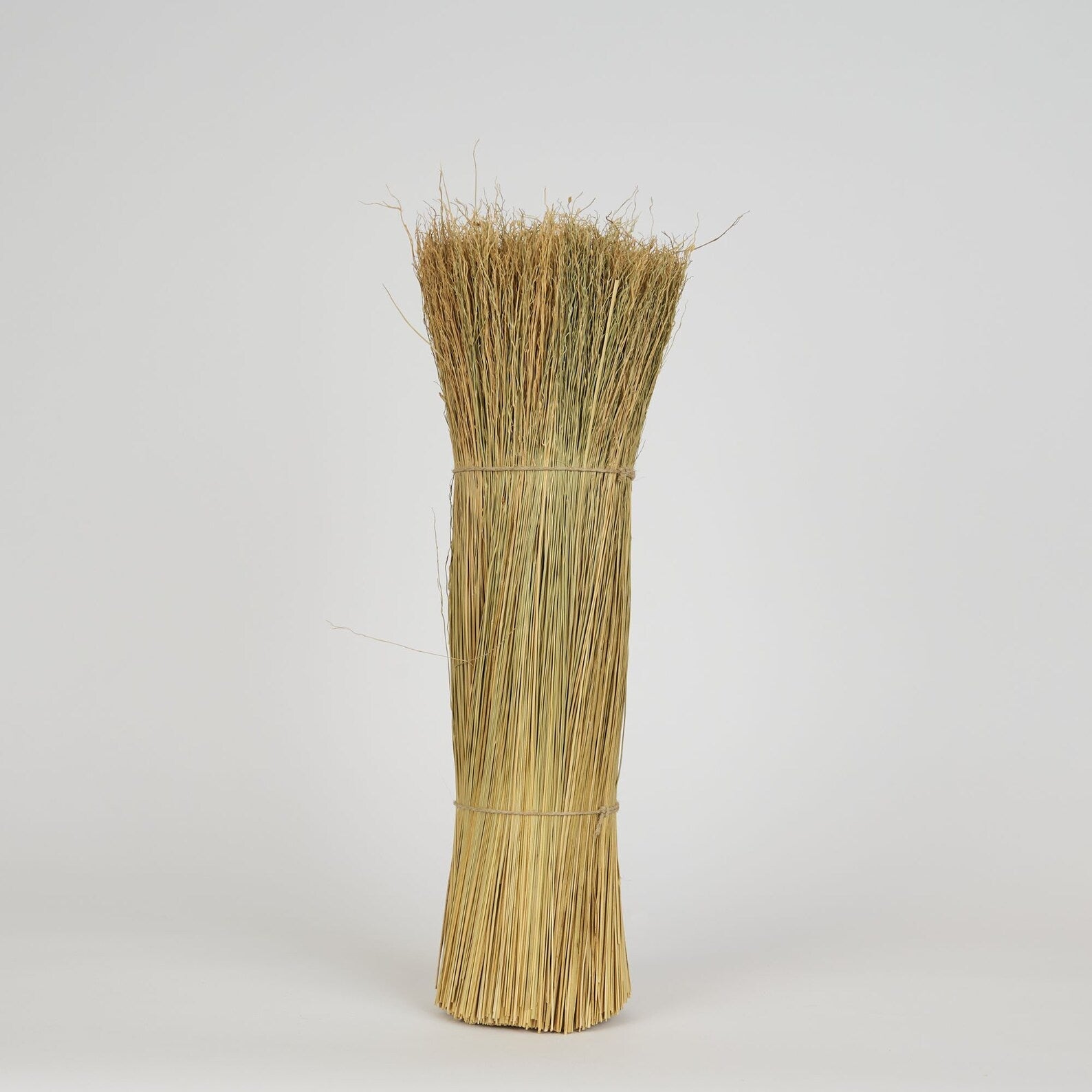 20 inch Grade A Broomcorn – Sold by the Pound