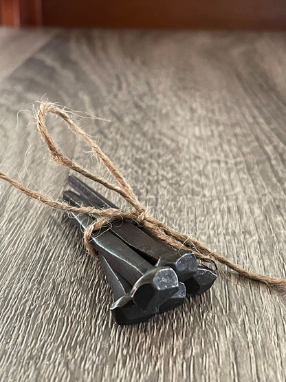 Coffin Nails Rustic Iron Rose head