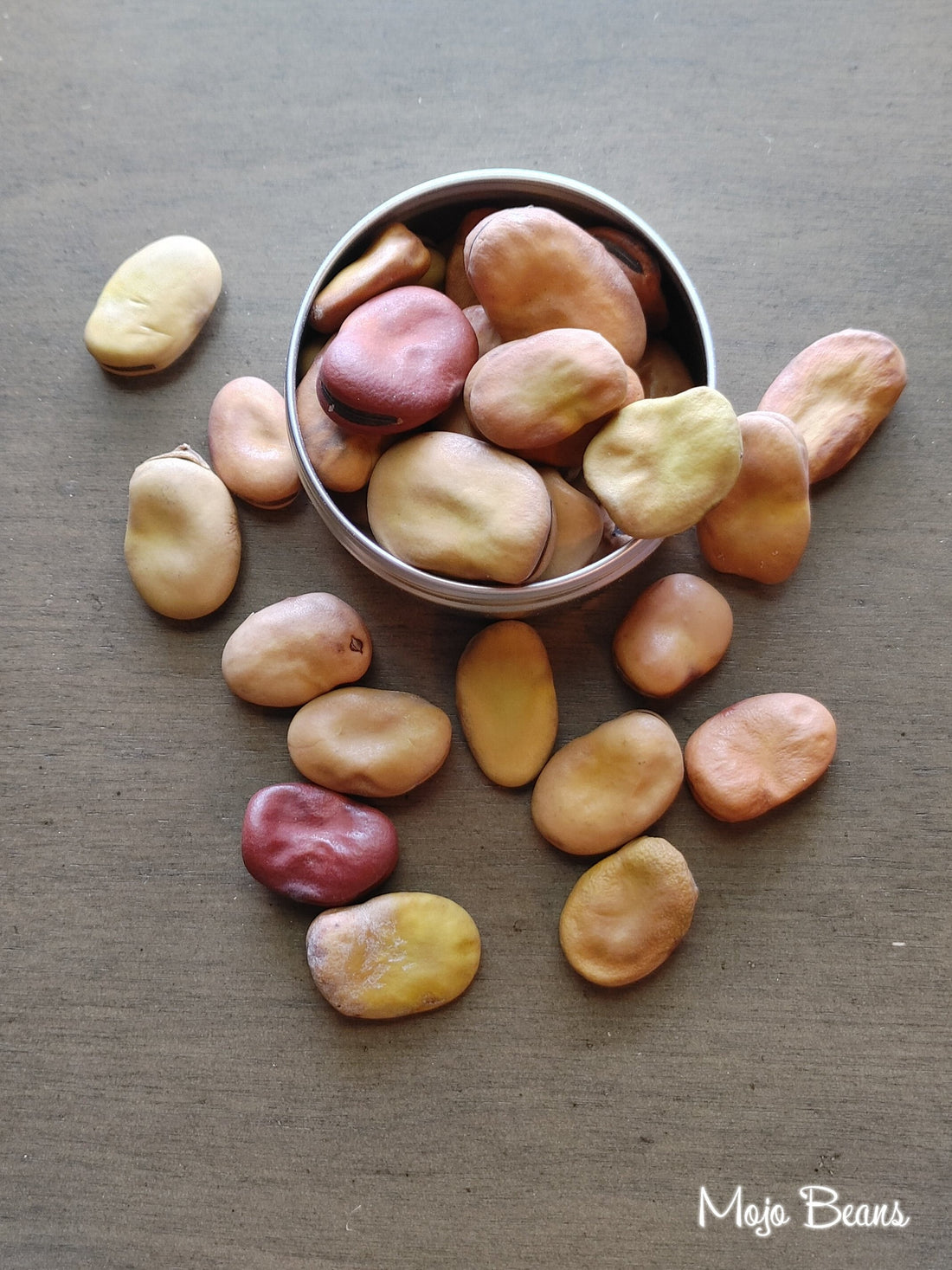 Mojo Wish Beans, Luck and Abundance, Natural Healing (1 oz)