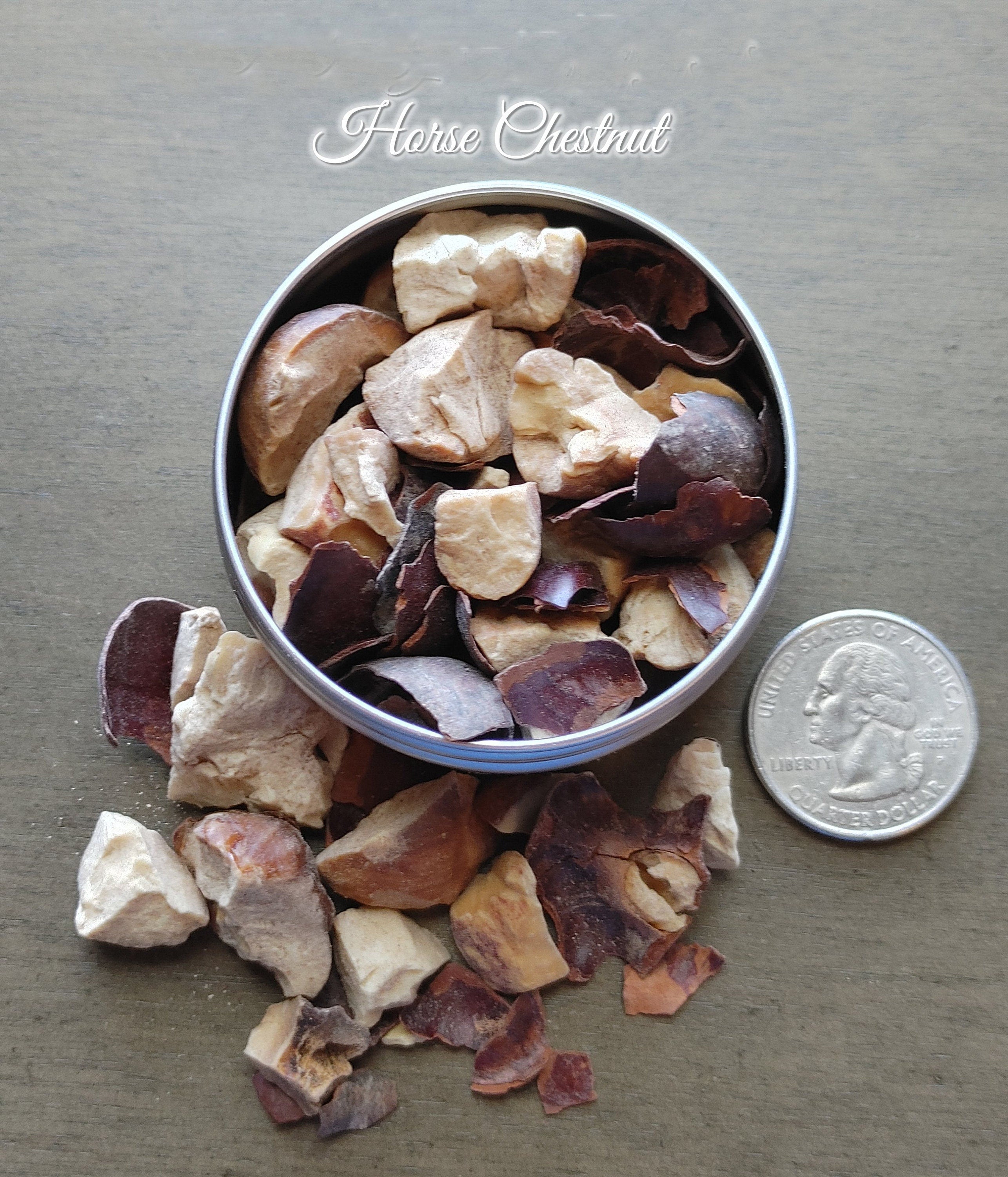 Horse Chestnut, Buckeyes, Good Luck Charm, Male Potency (1 oz)