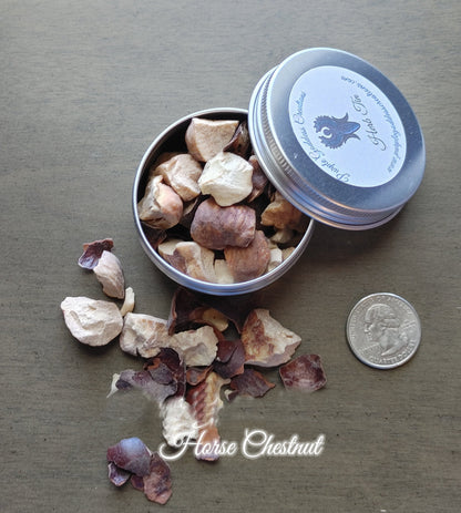 Horse Chestnut, Buckeyes, Good Luck Charm, Male Potency (1 oz)