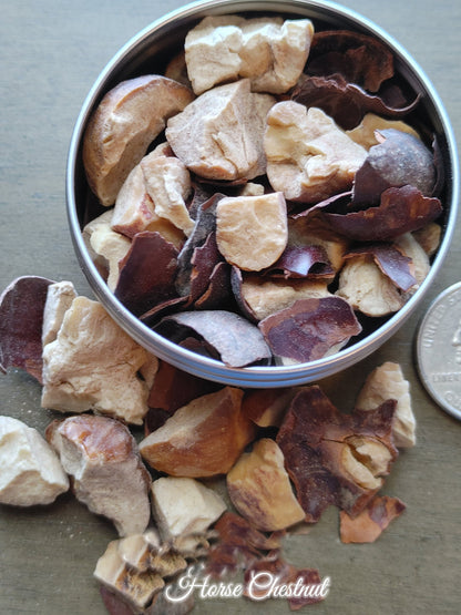 Horse Chestnut, Buckeyes, Good Luck Charm, Male Potency (1 oz)