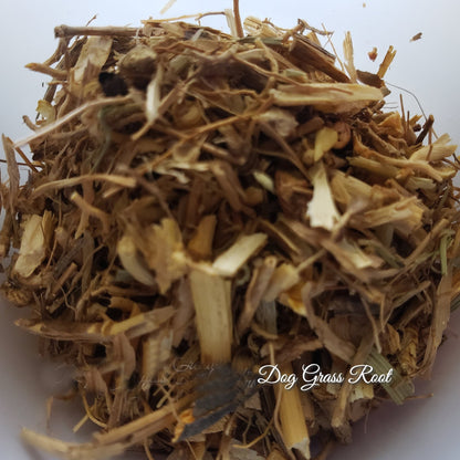 Dog Grass Root Herb, Protection, Banishing, Cleansing, Remove Hexes, Promote Happiness, Attraction, Attract Lover (1 oz)