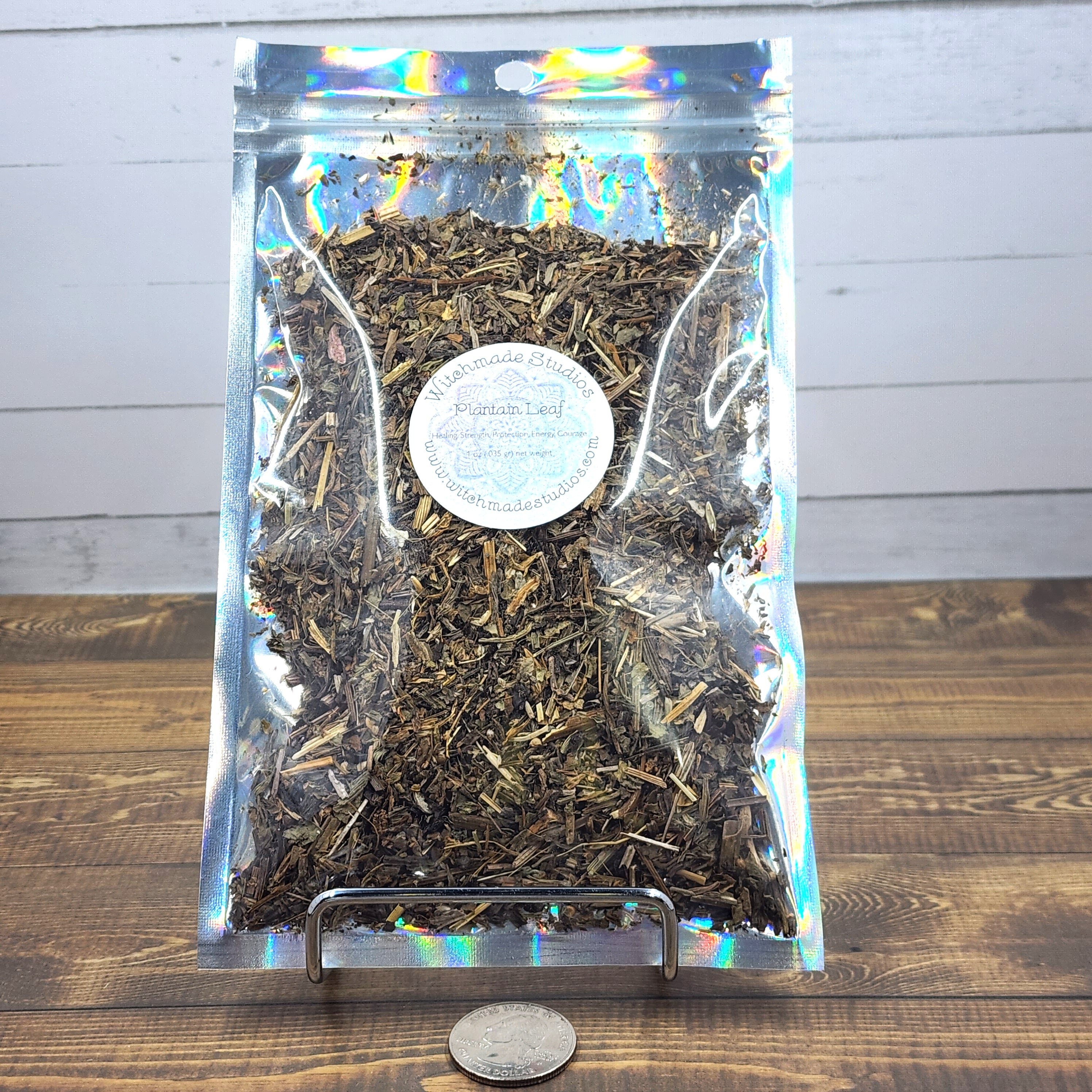 Plantain Leaf Herb, Healing, Strength, Protection, Energy, Courage (1 oz)
