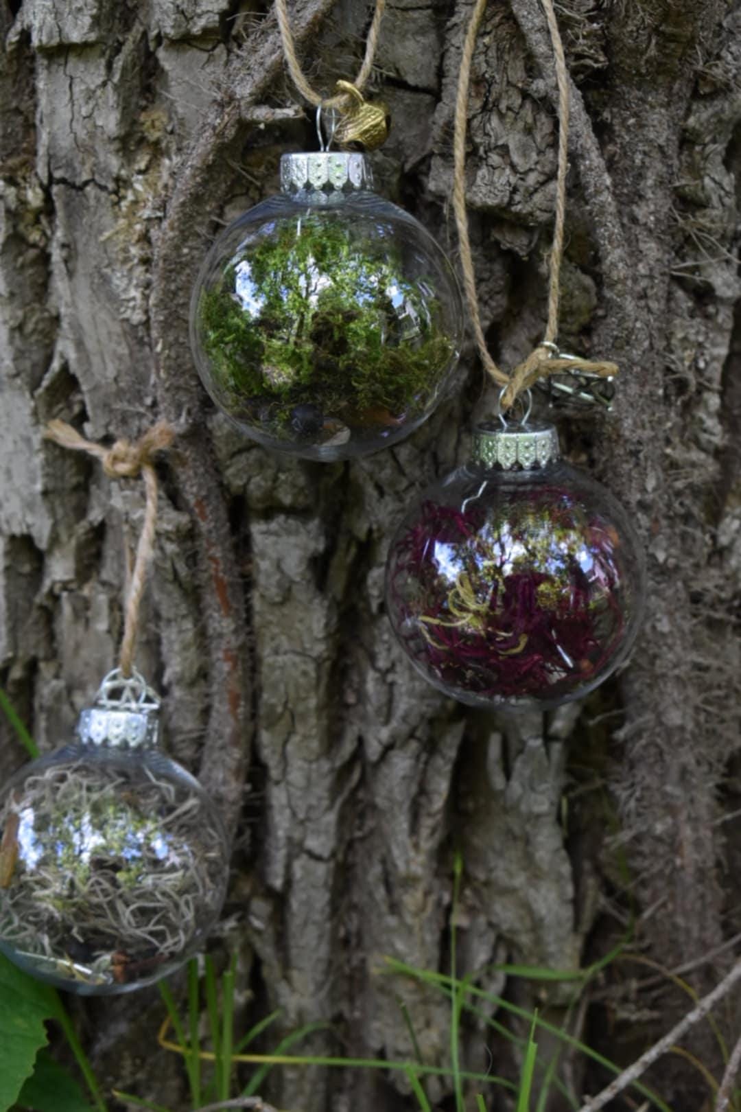 Herbal Witch Ball: Home Protection Amulet