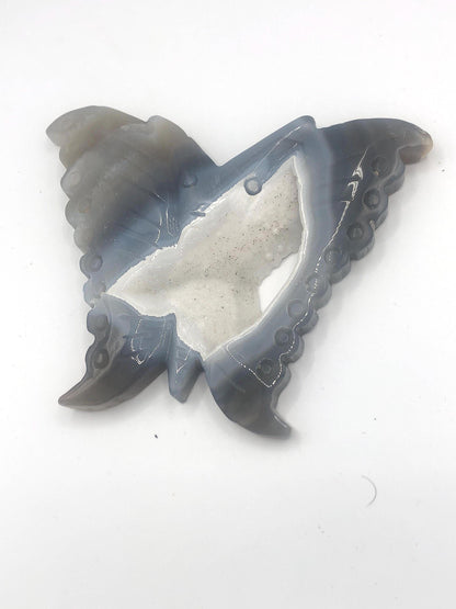 Delightful Druzy Agate