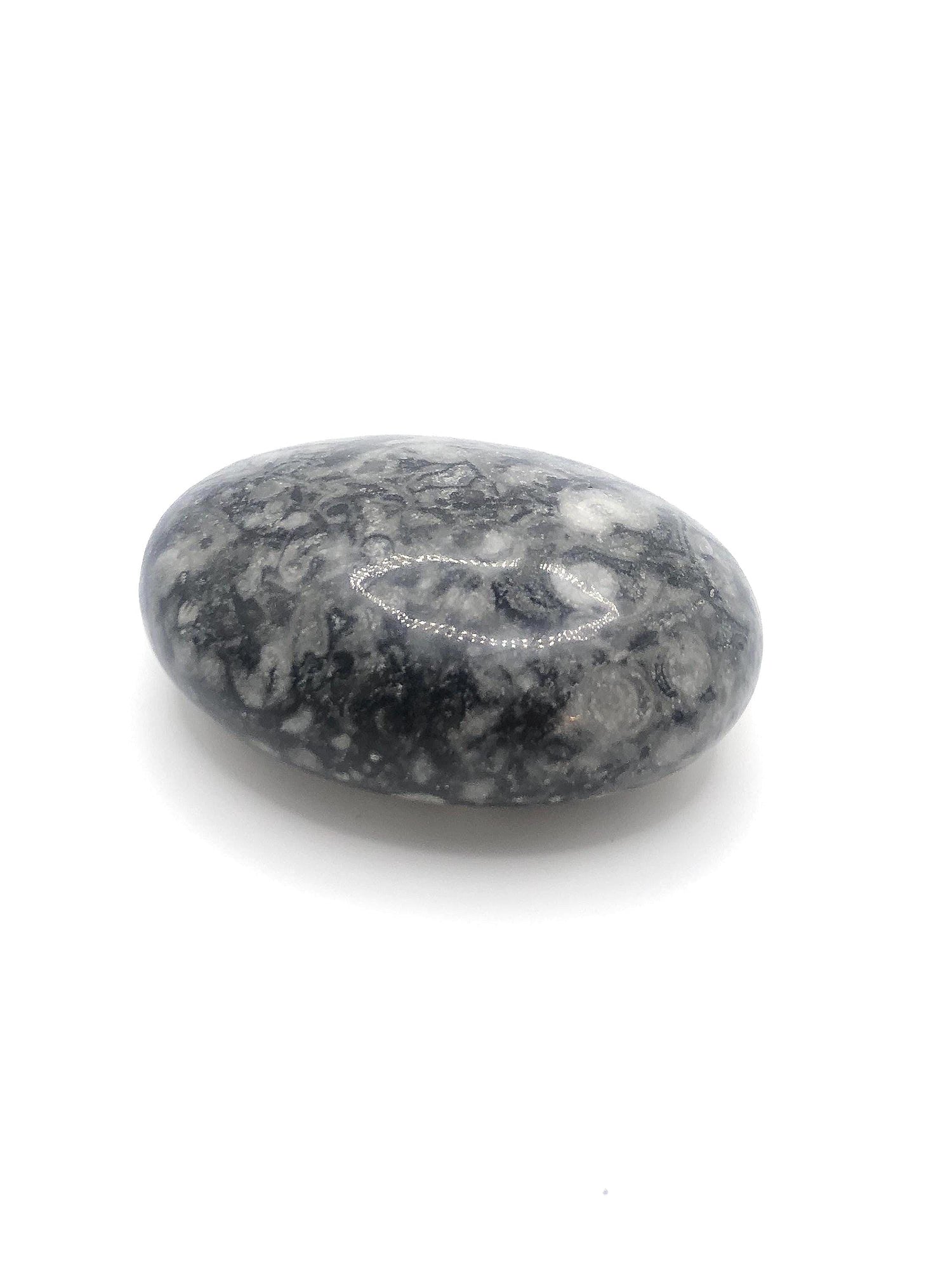 Shell Jasper and 1,000 Eye Jasper
