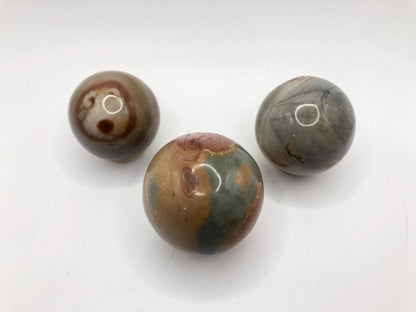 Jumping Polychrome Jasper