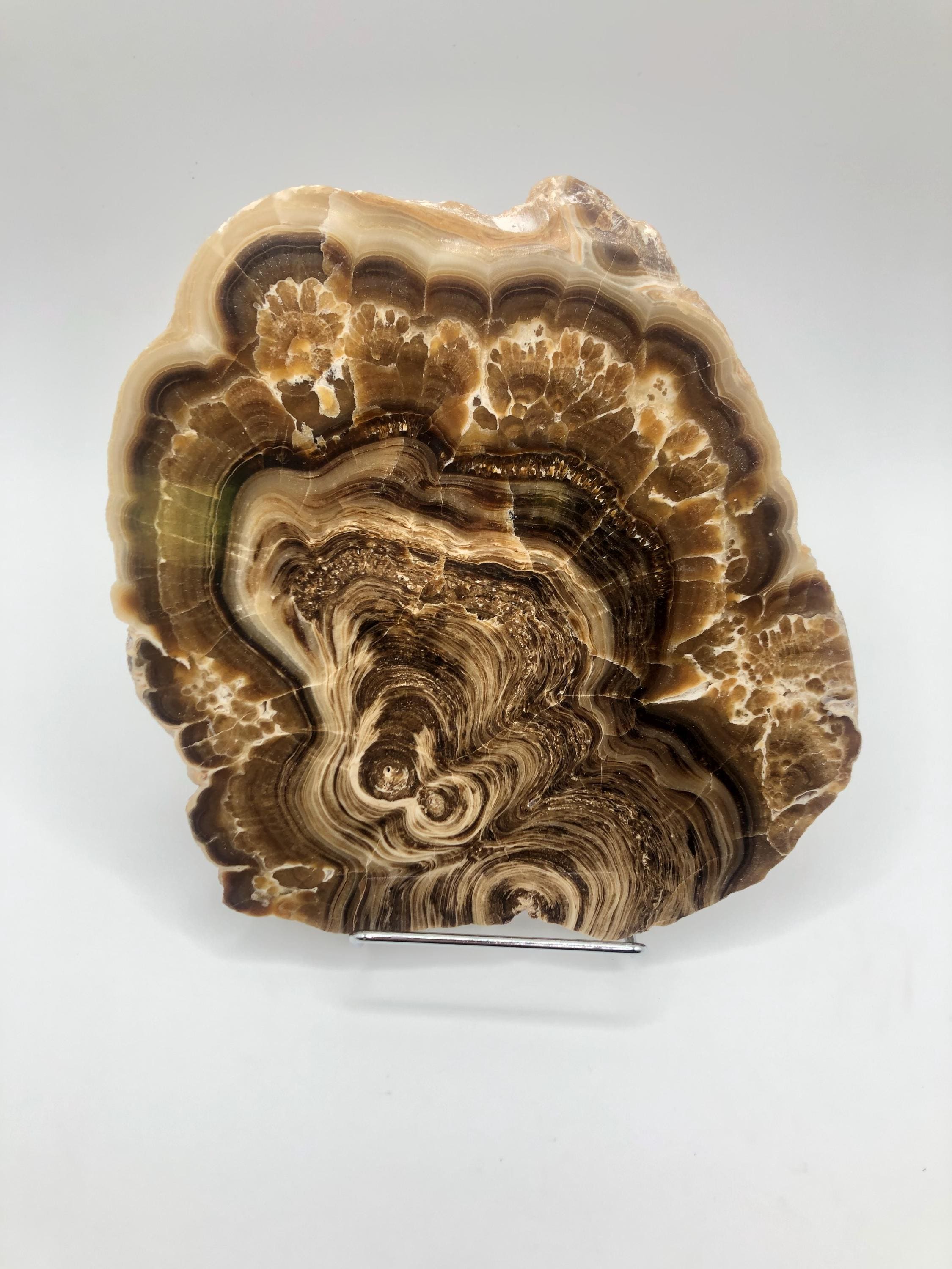 Chocolate Calcite: Slab, Sphere, Tower, Freeform, Horn, Necklace