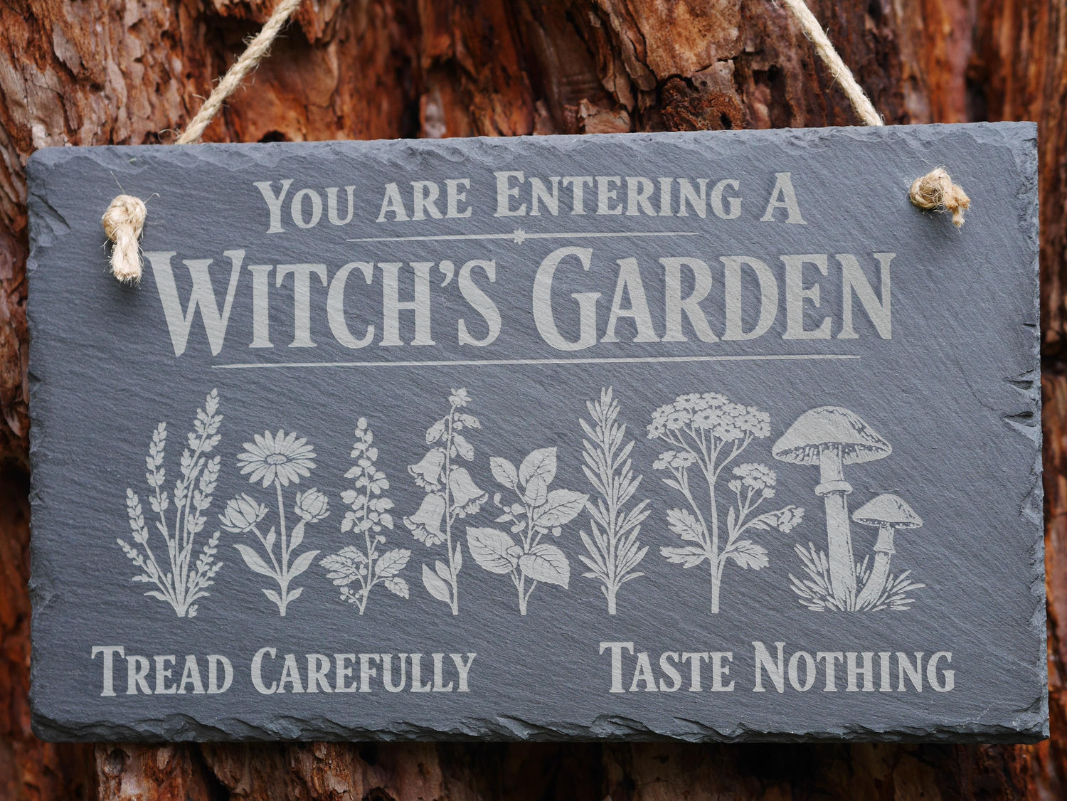 Witch&amp;