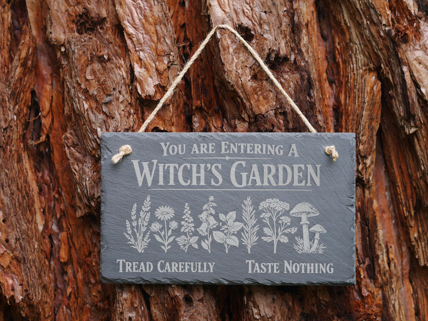 Witch&amp;