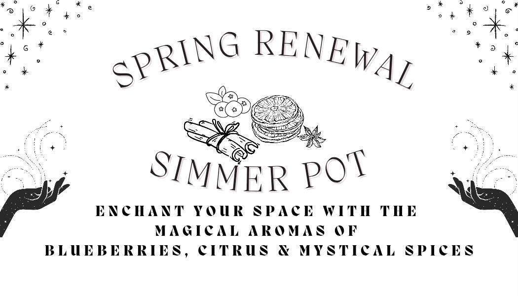 Spring Simmer Pot Kit | Citrus Berry Spice Stovetop Potpourri Home Fragrance
