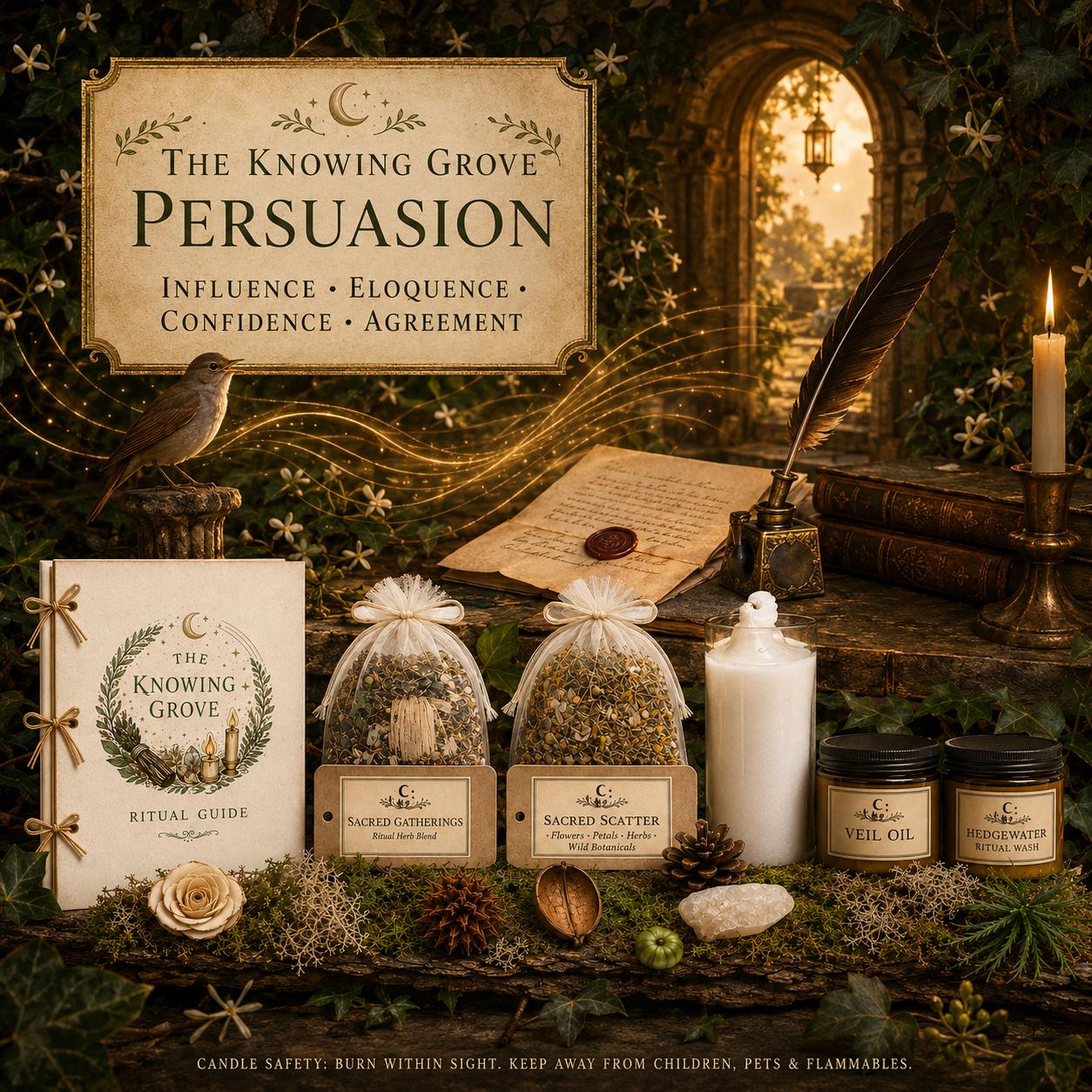Persuasion Spell Kit | Strengthen Influence, Charisma, Communication (PDF Guide)