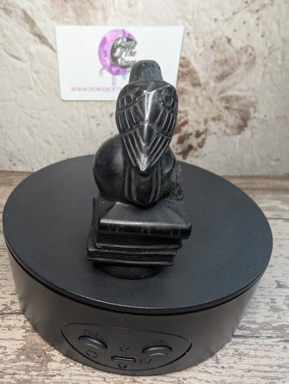 Black Obsidian carving of a crow, skull on stack of books.