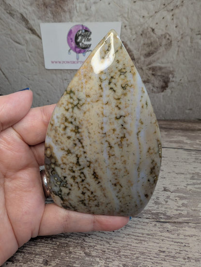 Ocean Jasper free form