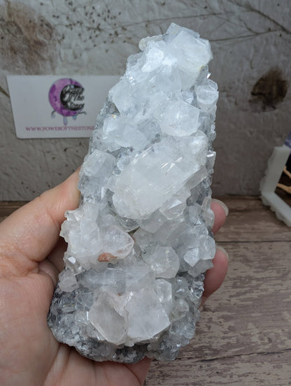 Apophyllite cut base cluster