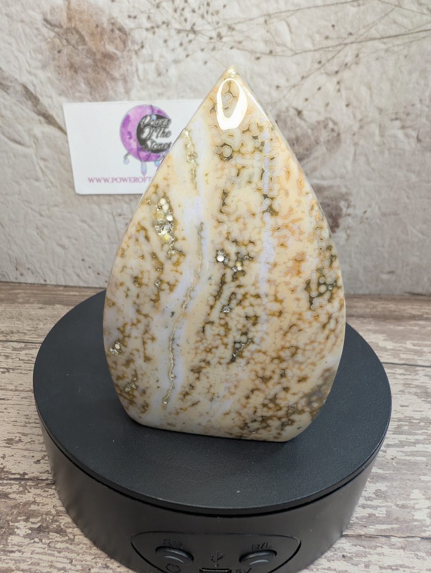 Ocean Jasper free form