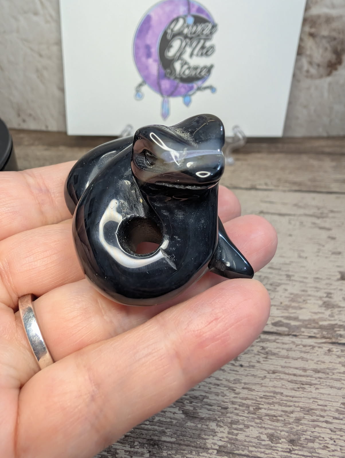 Black Agate carved snake