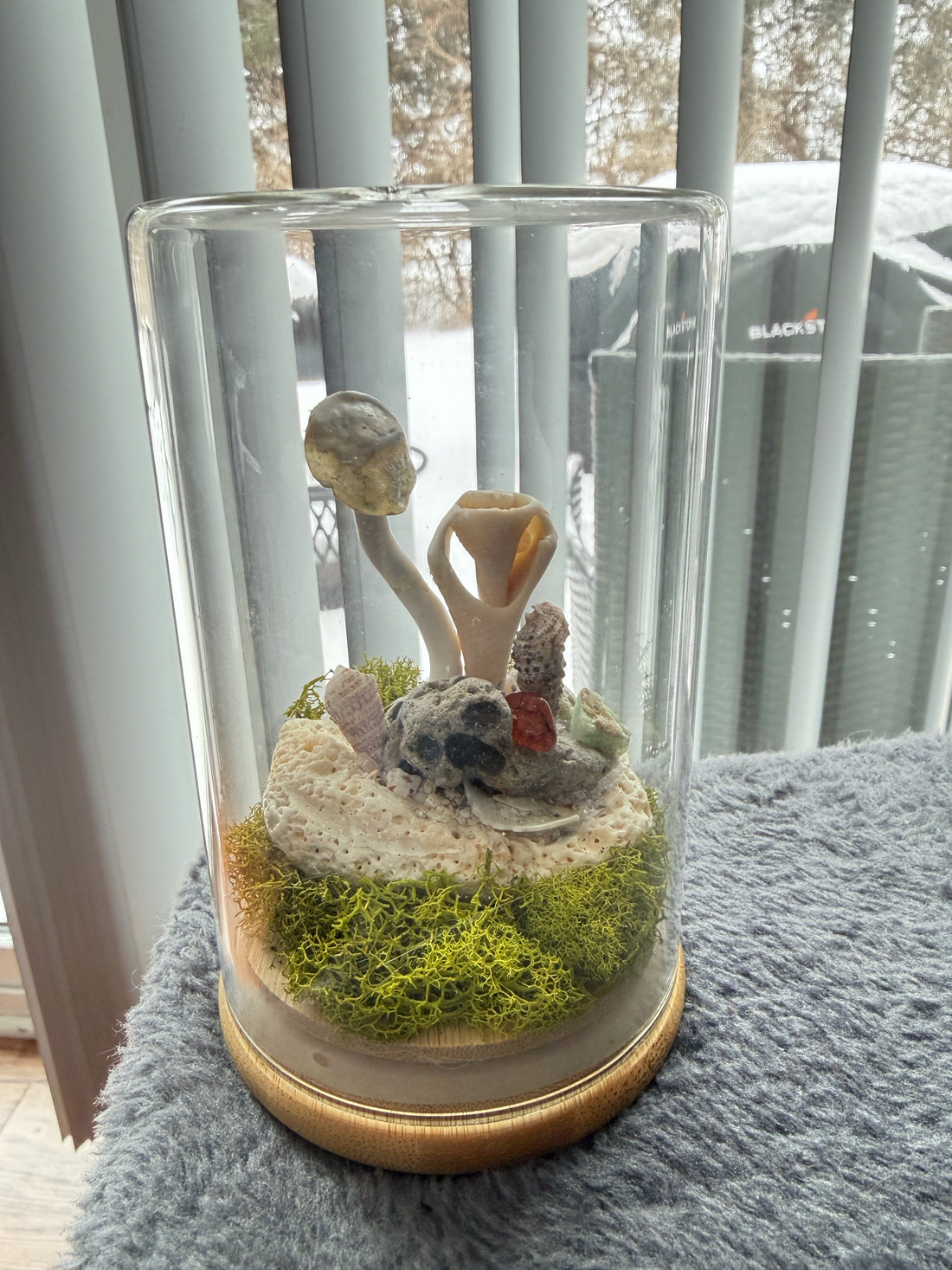 For the love of Enoki Mushroom