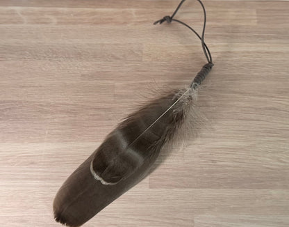 Small Smoke Cleanse Feathers