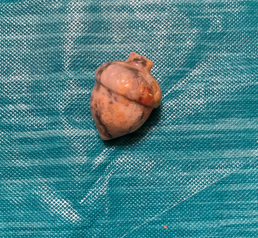 Crazy Lace Agate Acorns