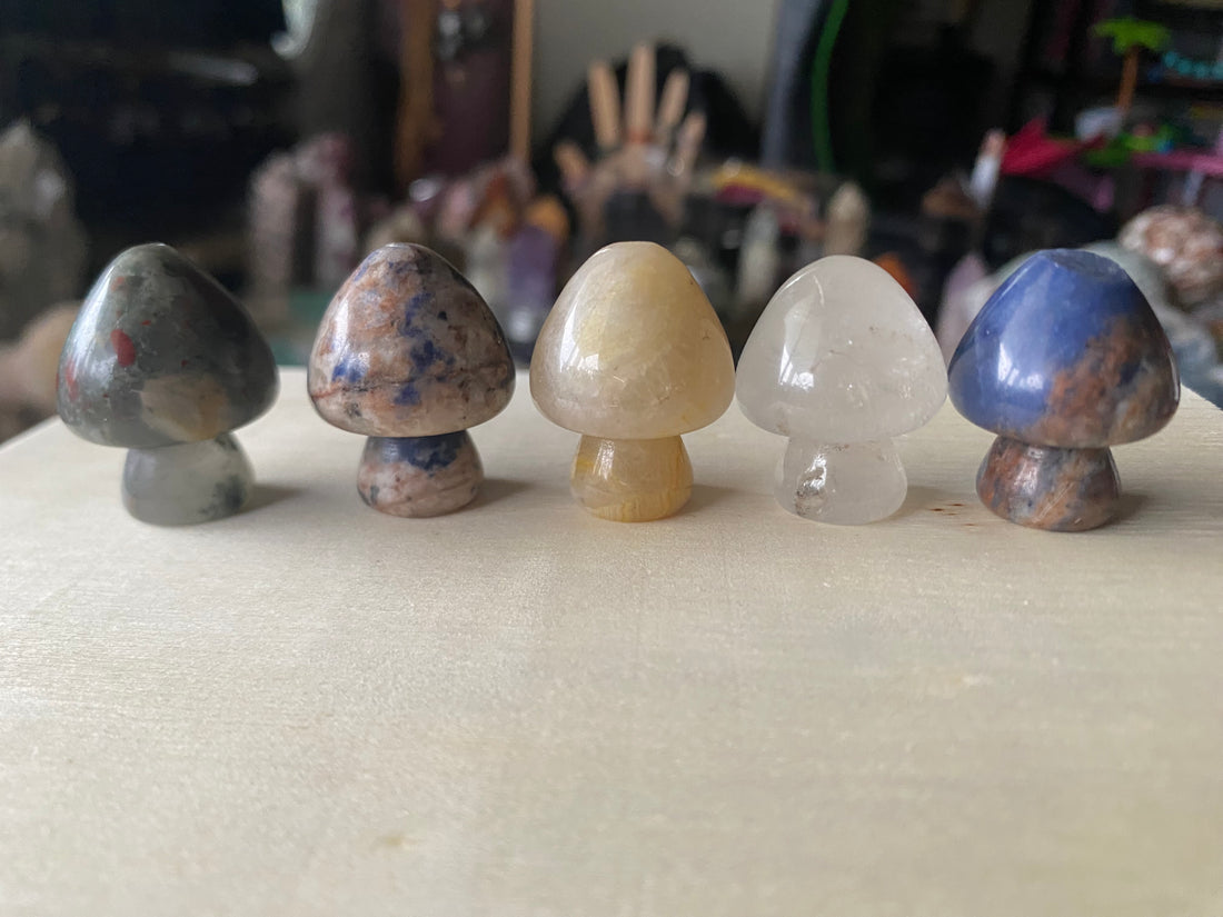 5 Assorted Mushroom Carvings